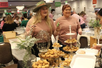 article image - search 2